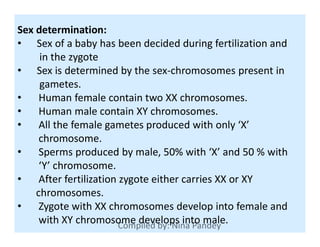 Sex determination:
• Sex of a baby has been decided during fertilization and
in the zygote
• Sex is determined by the sex-chromosomes present in
gametes.
• Human female contain two XX chromosomes.
• Human male contain XY chromosomes.
• All the female gametes produced with only ‘X’• All the female gametes produced with only ‘X’
chromosome.
• Sperms produced by male, 50% with ‘X’ and 50 % with
‘Y’ chromosome.
• After fertilization zygote either carries XX or XY
chromosomes.
• Zygote with XX chromosomes develop into female and
with XY chromosome develops into male.
 