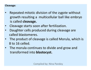 Cleavage:
• Repeated mitotic division of the zygote without
growth resulting a multicellular ball like embryo
is called cleavage.
• Cleavage starts soon after fertilization.
• Daughter cells produced during cleavage are
called blastomeres.called blastomeres.
• The product of cleavage is called Morula, which is
8 to 16 celled.
• The morula continues to divide and grow and
transformed into blastocyst.
 