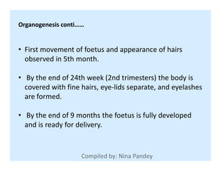 Organogenesis conti……
• First movement of foetus and appearance of hairs
observed in 5th month.
• By the end of 24th week (2nd trimesters) the body is
covered with fine hairs, eye-lids separate, and eyelashescovered with fine hairs, eye-lids separate, and eyelashes
are formed.
• By the end of 9 months the foetus is fully developed
and is ready for delivery.
 