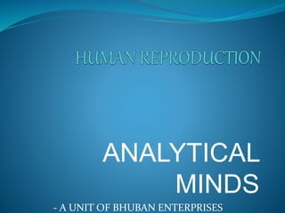 ANALYTICAL
MINDS
- A UNIT OF BHUBAN ENTERPRISES
 