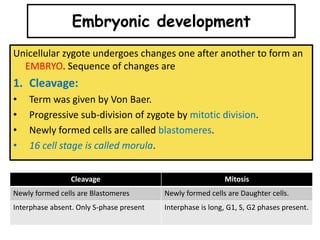 Unicellular zygote undergoes changes one after another to form an
EMBRYO. Sequence of changes are
1. Cleavage:
• Term was given by Von Baer.
• Progressive sub-division of zygote by mitotic division.
• Newly formed cells are called blastomeres.
• 16 cell stage is called morula.
Embryonic development
Cleavage Mitosis
Newly formed cells are Blastomeres Newly formed cells are Daughter cells.
Interphase absent. Only S-phase present Interphase is long, G1, S, G2 phases present.
 
