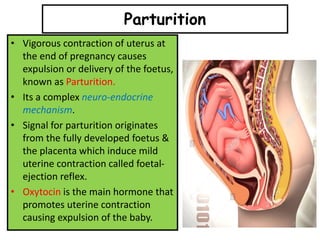 • Vigorous contraction of uterus at
the end of pregnancy causes
expulsion or delivery of the foetus,
known as Parturition.
• Its a complex neuro-endocrine
mechanism.
• Signal for parturition originates
from the fully developed foetus &
the placenta which induce mild
uterine contraction called foetal-
ejection reflex.
• Oxytocin is the main hormone that
promotes uterine contraction
causing expulsion of the baby.
Parturition
 