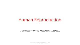 Human Reproduction
SHUBHADEEP BHATTACHARJEE/ EUREKA CLASSES
SHUBHADEEP BHATTACHARJEE/ EUREKA CLASSES
 