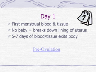 Day 1
First menstrual blood & tissue
No baby = breaks down lining of uterus
5-7 days of blood/tissue exits body
Pre-Ovulation
 