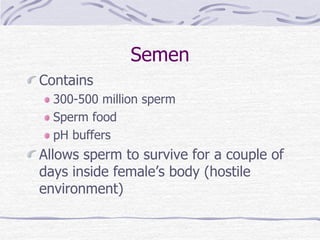 Semen
Contains
300-500 million sperm
Sperm food
pH buffers
Allows sperm to survive for a couple of
days inside female’s body (hostile
environment)
 