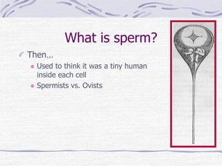 What is sperm?
Then…
Used to think it was a tiny human
inside each cell
Spermists vs. Ovists
 