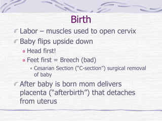 Birth
Labor – muscles used to open cervix
Baby flips upside down
Head first!
Feet first = Breech (bad)
Cesarian Section (“C-section”) surgical removal
of baby
After baby is born mom delivers
placenta (“afterbirth”) that detaches
from uterus
 