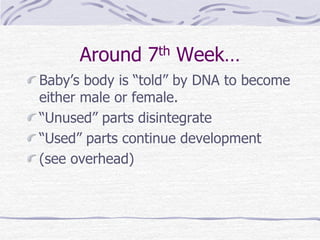 Around 7th Week…
Baby’s body is “told” by DNA to become
either male or female.
“Unused” parts disintegrate
“Used” parts continue development
(see overhead)
 