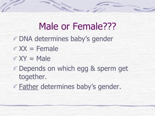 Male or Female???
DNA determines baby’s gender
XX = Female
XY = Male
Depends on which egg & sperm get
together.
Father determines baby’s gender.
 