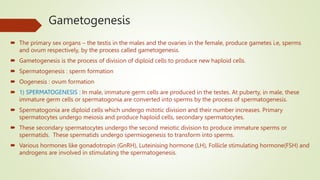 Gametogenesis
 The primary sex organs – the testis in the males and the ovaries in the female, produce gametes i.e, sperms
and ovum respectively, by the process called gametogenesis.
 Gametogenesis is the process of division of diploid cells to produce new haploid cells.
 Spermatogenesis : sperm formation
 Oogenesis : ovum formation
 1) SPERMATOGENESIS : In male, immature germ cells are produced in the testes. At puberty, in male, these
immature germ cells or spermatogonia are converted into sperms by the process of spermatogenesis.
 Spermatogonia are diploid cells which undergo mitotic division and their number increases. Primary
spermatocytes undergo meiosis and produce haploid cells, secondary spermatocytes.
 These secondary spermatocytes undergo the second meiotic division to produce immature sperms or
spermatids. These spermatids undergo spermiogenesis to transform into sperms.
 Various hormones like gonadotropin (GnRH), Luteinising hormone (LH), Follicle stimulating hormone(FSH) and
androgens are involved in stimulating the spermatogenesis.
 