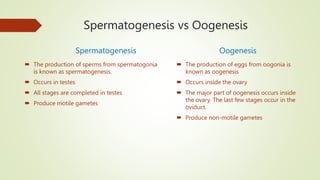 Spermatogenesis vs Oogenesis
Spermatogenesis
 The production of sperms from spermatogonia
is known as spermatogenesis.
 Occurs in testes
 All stages are completed in testes
 Produce motile gametes
Oogenesis
 The production of eggs from oogonia is
known as oogenesis
 Occurs inside the ovary
 The major part of oogenesis occurs inside
the ovary. The last few stages occur in the
oviduct.
 Produce non-motile gametes
 