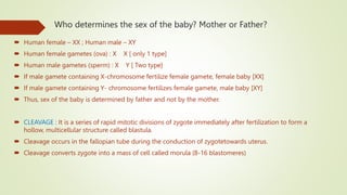Who determines the sex of the baby? Mother or Father?
 Human female – XX ; Human male – XY
 Human female gametes (ova) : X X [ only 1 type]
 Human male gametes (sperm) : X Y [ Two type]
 If male gamete containing X-chromosome fertilize female gamete, female baby [XX]
 If male gamete containing Y- chromosome fertilizes female gamete, male baby [XY]
 Thus, sex of the baby is determined by father and not by the mother.
 CLEAVAGE : It is a series of rapid mitotic divisions of zygote immediately after fertilization to form a
hollow, multicellular structure called blastula.
 Cleavage occurs in the fallopian tube during the conduction of zygotetowards uterus.
 Cleavage converts zygote into a mass of cell called morula (8-16 blastomeres)
 
