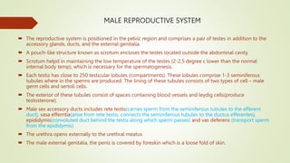 MALE REPRODUCTIVE SYSTEM
 The reproductive system is positioned in the pelvic region and comprises a pair of testes in addition to the
accessory glands, ducts, and the external genitalia.
 A pouch-like structure known as scrotum encloses the testes located outside the abdominal cavity.
 Scrotum helpd in maintaining the low temperature of the testes (2-2.5 degree c lower than the normal
internal body temp), which is necessary for the spermatogenesis.
 Each testis has close to 250 testicular lobules (compartments). These lobules comprise 1-3 seminiferous
tubules where in the sperms are produced. The lining of these tubules consists of two types of cell – male
germ cells and sertoli cells.
 The exterior of these tubules consist of spaces containing blood vessels and leydig cells(produce
testosterone).
 Male sex accessory ducts includes rete testis(carries sperm from the seminiferous tubules to the efferent
duct), vasa efferntia(arise from rete testis, connects the seminiferous tubules to the ductus efferentes),
epididymis(convoluted duct behind the testis along which sperm passes) and vas deferens (transport sperm
from the epididymis)
 The urethra opens externally to the urethral meatus
 The male external genitalia, the penis is covered by foreskin which is a loose fold of skin.
 