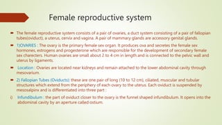 Female reproductive system
 The female reproductive system consists of a pair of ovaries, a duct system consisting of a pair of fallopian
tubes(oviduct), a uterus, cervix and vagina. A pair of mammary glands are accessory genital glands.
 1)OVARIES : The ovary is the primary female sex organ. It produces ova and secretes the female sex
hormones, estrogens and progesterone which are responsible for the development of secondary female
sex charecters. Human ovaries are small about 2 to 4 cm in length and is connected to the pelvic wall and
uterus by ligaments.
 Location : Ovaries are located near kidneys and remain attached to the lower abdominal cavity through
mesovarium.
 2) Fallopian Tubes (Oviducts): these are one pair of long (10 to 12 cm), ciliated, muscular and tubular
structures which extend from the periphery of each ovary to the uterus. Each oviduct is suspended by
mesosalpinx and is differentiated into three part :
i) Infundibulum : the part of oviduct closer to the ovary is the funnel shaped infundibulum. It opens into the
abdominal cavity by an aperture called ostium.
 