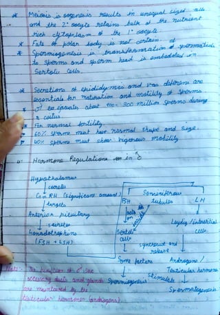 -the 2' Gocyte relains bulk the rutniant
Sertolu Calls
bsential ton matcration nd mstiliy ot sberms
eaepaty about eon-300 illion Sbermo
Fa mesmal delulity
Hogmgra Regulation
60X semo mot ave nesal Shujoe and Suge.
Lo% shesom must shou gshaus
Hyjathalanus
ceches
aa RH (signtitant amauat.
head
Antoieapitulay
honadethnbhins
LESH + LSH)
BH
Senta
ehiily
Senminileraw
tubules
holease
Sone aetan.
dluiny
Laydig Linbostiial
Teaticula hasmen
 