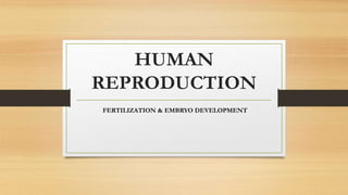 HUMAN
REPRODUCTION
FERTILIZATION & EMBRYO DEVELOPMENT
 