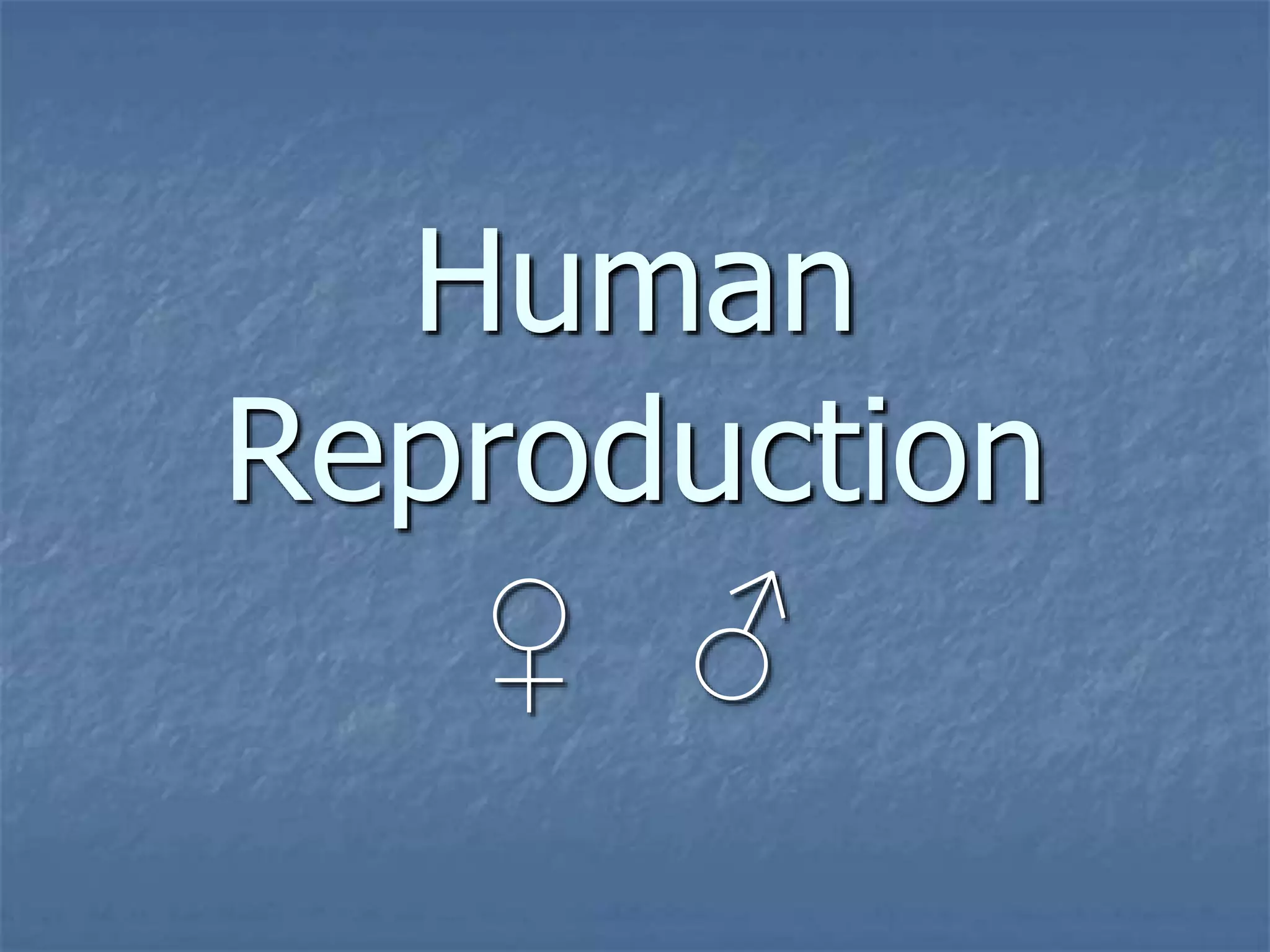 Human Reproduction Organs Functions Ppt
