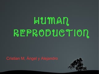 HUMAN
REPRODUCTION
Cristian M, Ángel y Alejandro

 

 

 