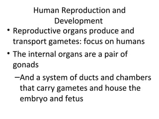 Human Reproduction and Development  ,[object Object],[object Object],[object Object]
