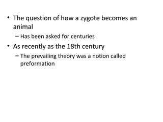 Human reproduction and development | PPT