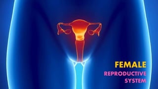 FEMALE
REPRODUCTIVE
SYSTEM
 