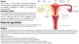 Hymen
The hymen is a thin layer of mucous membrane
which partially occludes the opening of the vagina. It
is normally incomplete to allow for passage of
menstrual flow.
Vestibular glands
The vestibular glands (Bartholin's glands) are situated one
on each side near the vaginal opening. They are about the
size of a small pea and have ducts, opening into the
vestibule immediately lateral to the attachment of the
hymen. They secrete mucus that keeps the vulva moist.
Internal genitalia
The internal organs of the female reproductive system lie in the pelvic cavity
and consist of the vagina, uterus, two uterine tubes and two ovaries.
Vagina
The vagina is a fibromuscular tube lined with stratified squamous epithelium, connecting the external and internal organs of reproduction. It runs
obliquely upwards and backwards at an angle of about 45° between the bladder in front and rectum and anus behind. In the adult the anterior wall
is about 7.5 cm (3 inches) long and the posterior wall about 9 cm long. The difference is due to the angle of insertion of the cervix through the
anterior wall.
Purposes of the Vagina
• Receives a males erect penis and semen during sexual intercourse.
• Pathway through a woman's body for the baby to take during childbirth.
• Provides the route for the menstrual blood (menses) from the uterus, to leave the body.
• May hold forms of birth control, such as a diaphragm, FemCap, Nuva Ring, or female condom.
 