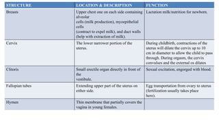 STRUCTURE LOCATION & DESCRIPTION FUNCTION
Breasts Upper chest one on each side containing
alveolar
cells (milk production), myoepithelial
cells
(contract to expel milk), and duct walls
(help with extraction of milk).
Lactation milk/nutrition for newborn.
Cervix The lower narrower portion of the
uterus.
During childbirth, contractions of the
uterus will dilate the cervix up to 10
cm in diameter to allow the child to pass
through. During orgasm, the cervix
convulses and the external os dilates
Clitoris Small erectile organ directly in front of
the
vestibule.
Sexual excitation, engorged with blood.
Fallopian tubes Extending upper part of the uterus on
either side.
Egg transportation from ovary to uterus
(fertilization usually takes place
here).
Hymen Thin membrane that partially covers the
vagina in young females.
 