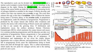 The reproductive cycle can be divided into an ovarian cycle and a
uterine cycle (compare ovarian histology and uterine histology in the
diagram on the right). During the uterine cycle, the endometrial
lining of the uterus builds up under the influence of increasing levels
of estrogen (labeled as estradiol in the image). Follicles develop, and
within a few days one matures into an ovum, or egg. The ovary then
releases this egg, at the time of ovulation. After ovulation the uterine
lining enters a secretory phase, or the ovarian cycle, in preparation
for implantation, under the influence of progesterone. Progesterone is
produced by the corpus luteum (the follicle after ovulation) and
enriches the uterus with a thick lining of blood vessels and capillaries
so that it can sustain the growing fetus. If fertilization and
implantation occur, the embryo produces Human Chorionic
Gonadotropin (HCG), which maintains the corpus luteum and causes
it to continue producing progesterone until the placenta can take over
production of progesterone. Hence, progesterone is "pro gestational"
and maintains the uterine lining during all of pregnancy. If
fertilization and implantation do not occur the corpus luteum
degenerates into a corpus albicans, and progesterone levels fall. This
fall in progesterone levels cause the endometrium lining to break
down and sluff off through the vagina. This is called menstruation,
which marks the low point for estrogen activity and is the starting
point of a new cycle.
 