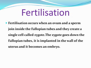 Fertilisation
 Fertilisation occurs when an ovum and a sperm
 join inside the Fallopian tubes and they create a
 single cell called zygote.The zygote goes down the
 Fallopian tubes, it is implanted in the wall of the
 uterus and it becomes an embryo.
 