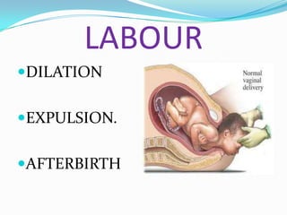 LABOUR
DILATION


EXPULSION.


AFTERBIRTH
 