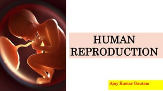 HUMAN
REPRODUCTION
Ajay Kumar Gautam
 