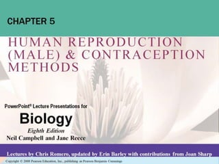 Human reproduction & contraceptive