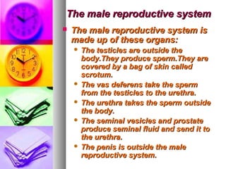 The male reproductive system
   The male reproductive system is
    made up of these organs:
     The testicles are outside the
      body.They produce sperm.They are
      covered by a bag of skin called
      scrotum.
     The vas deferens take the sperm
      from the testicles to the urethra.
     The urethra takes the sperm outside
      the body.
     The seminal vesicles and prostate
      produce seminal fluid and send it to
      the urethra.
     The penis is outside the male
      reproductive system.
 