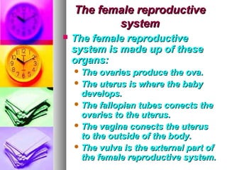 The female reproductive
           system
   The female reproductive
    system is made up of these
    organs:
     The  ovaries produce the ova.
     The uterus is where the baby
      develops.
     The fallopian tubes conects the
      ovaries to the uterus.
     The vagina conects the uterus
      to the outside of the body.
     The vulva is the external part of
      the female reproductive system.
 