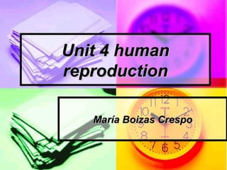 Unit 4 human
reproduction

   María Boizas Crespo
 