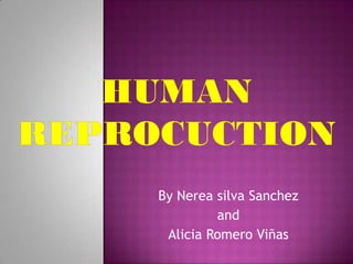 By Nerea silva Sanchez
         and
 Alicia Romero Viñas
 