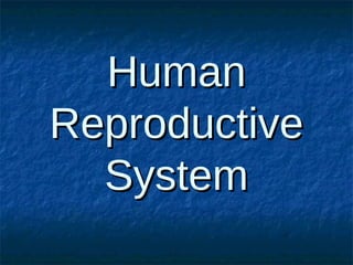 Human
Reproductive
System

 