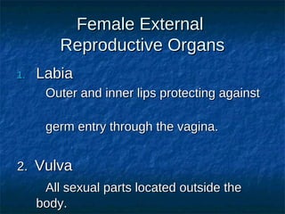 Female External
Reproductive Organs
1.

Labia
Outer and inner lips protecting against
germ entry through the vagina.

2. Vulva
All sexual parts located outside the
body.

 