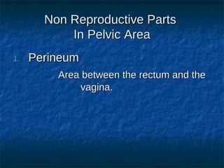 Non Reproductive Parts
In Pelvic Area
1.

Perineum
Area between the rectum and the
vagina.

 