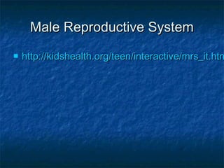 Male Reproductive System


http://kidshealth.org/teen/interactive/mrs_it.htm

 
