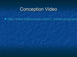 Conception Video


http://www.babycenter.com/2_inside-pregnanc

 