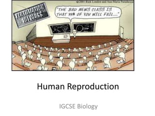 Human Reproduction
IGCSE Biology
 