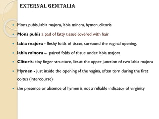  Mons pubis, labia majora, labia minora, hymen, clitoris
 Mons pubis a pad of fatty tissue covered with hair
 labia majora - fleshy folds of tissue, surround the vaginal opening.
 labia minora – paired folds of tissue under labia majora
 Clitoris- tiny finger structure, lies at the upper junction of two labia majora
 Hymen - just inside the opening of the vagina, often torn during the first
coitus (intercourse)
 the presence or absence of hymen is not a reliable indicator of virginity
External Genitalia
 
