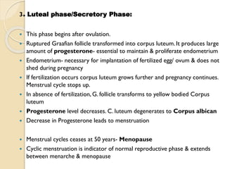 3. Luteal phase/Secretory Phase:
 This phase begins after ovulation.
 Ruptured Graafian follicle transformed into corpus luteum. It produces large
amount of progesterone- essential to maintain & proliferate endometrium
 Endometrium- necessary for implantation of fertilized egg/ ovum & does not
shed during pregnancy
 If fertilization occurs corpus luteum grows further and pregnancy continues.
Menstrual cycle stops up.
 In absence of fertilization, G. follicle transforms to yellow bodied Corpus
luteum
 Progesterone level decreases. C. luteum degenerates to Corpus albican
 Decrease in Progesterone leads to menstruation
 Menstrual cycles ceases at 50 years- Menopause
 Cyclic menstruation is indicator of normal reproductive phase & extends
between menarche & menopause
 