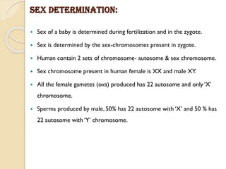 Sex determination:
 Sex of a baby is determined during fertilization and in the zygote.
 Sex is determined by the sex-chromosomes present in zygote.
 Human contain 2 sets of chromosome- autosome & sex chromosome.
 Sex chromosome present in human female is XX and male XY.
 All the female gametes (ova) produced has 22 autosome and only ‘X’
chromosome.
 Sperms produced by male, 50% has 22 autosome with ‘X’ and 50 % has
22 autosome with ‘Y’ chromosome.
 
