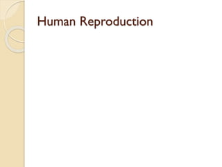Human Reproduction
 