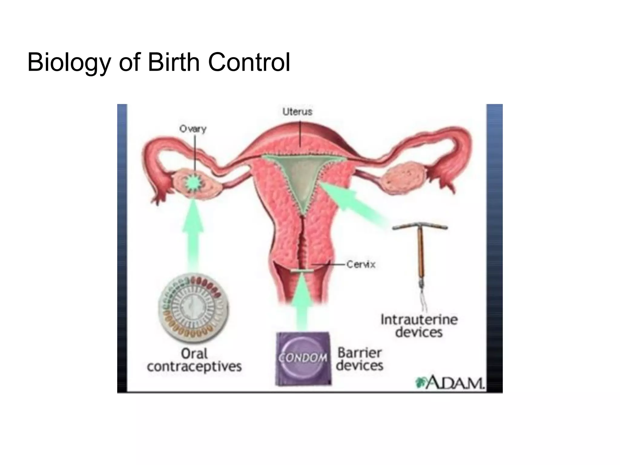 Biology of Birth Control
 