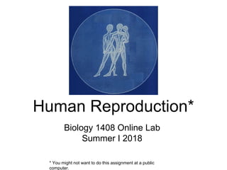 Human Reproduction*
Biology 1408 Online Lab
Summer I 2018
* You might not want to do this assignment at a public
computer.
 
