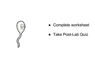 ● Complete worksheet
● Take Post-Lab Quiz
 