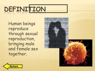 DEFINITION
Human beings
reproduce
through sexual
reproduction,
bringing male
and female sex
together.
Return
 